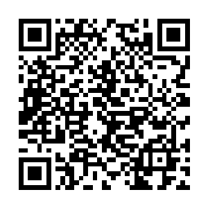 霍君白也没有见到有这种六品灵药冲泡的茶水提供二维码生成