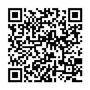 霍君白以真气凝聚而打出的九个龙子便显得颇为渺小二维码生成