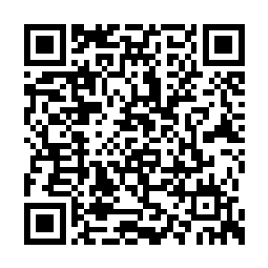 霍君白体内气海的真气纯度也攀升了两个大境界二维码生成