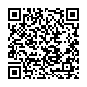 霍君白召出的机关猎豹和机关熊罴一群群左右扑上二维码生成