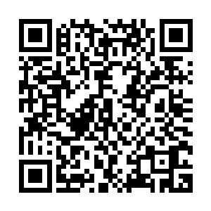 霍君白和慕以柔的左手处到支点的棍身成了二人各自的动力臂二维码生成