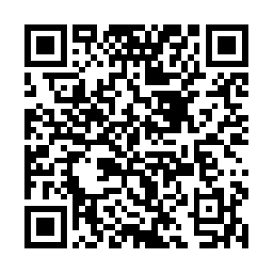 霍君白和燕小霞二人分别游到洞穴顶和东面的石壁旁二维码生成