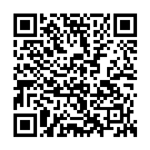 霍君白在孙悟空的帮助下修为已经达到不堕境界二维码生成