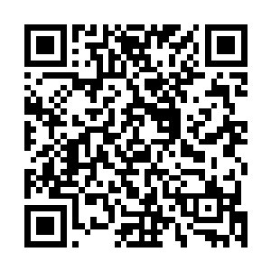 霍君白小心翼翼的捧着这个杜引墨口中价值三亿的木盒子二维码生成
