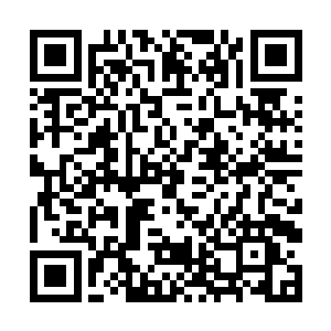 霍君白已经从乾坤戒指中取出了一颗白莲静心丸服下二维码生成