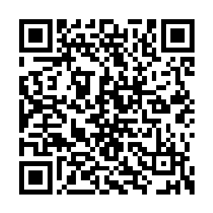 霍君白已经抬腿将这姓曹的胖子狠狠的掼在地上二维码生成