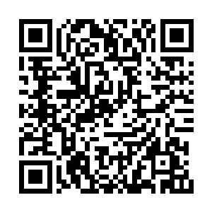 霍君白心想下来韩无杀肯定会问霍君瑶现在在哪二维码生成