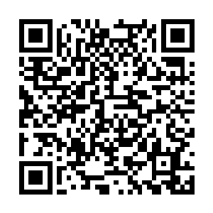 霍君白心想既然他们二人也未留下什么线索就消失二维码生成