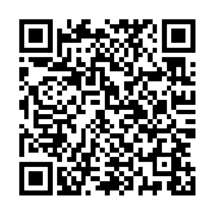 霍君白忽地想起几年前自己和霍君钰被虞柔的爷爷虞北救出二维码生成