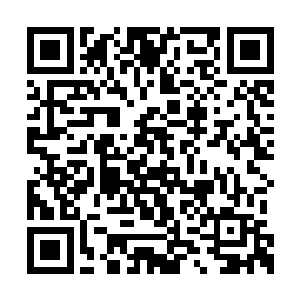 霍君白才看清眼前的玉人正是笑魇如花的白冰儿二维码生成