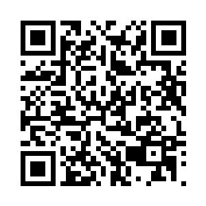 霍君白望着面前出现的一扇新的石门二维码生成