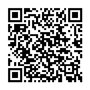 霍君白的墨竹剑和墨枢的黑剑如同两团黑气一般二维码生成