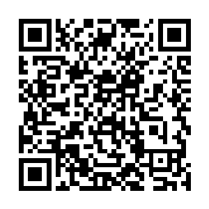 霍君白的这一下攻击对于它的本体来说完全没有造成伤害二维码生成