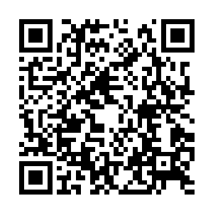霍君白看到四周的洞穴壁并不同于刚才看到的岩石二维码生成