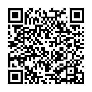 霍君白看着对面这一脸表情恨铁不成钢的绝色美女二维码生成