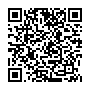 霍君白知道刚才上岸之后正是自己生出不忍之心二维码生成