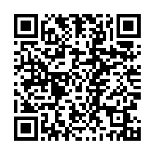 霍君白能感觉到自己的血肉筋骨在进行着不可思议的变化二维码生成