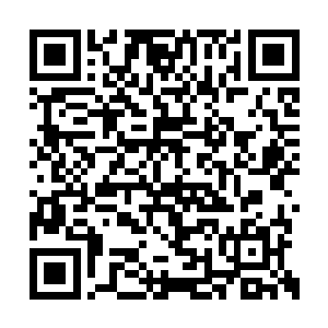 霍君白见到地面上摆放了不少建筑房屋用的砖瓦二维码生成