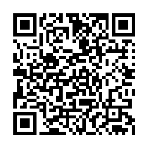 霍君白见虞柔天灵之中慢慢腾起一股蓝色的灵气二维码生成