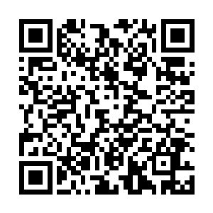 霍君白见那几只星宿凶兽气势汹汹的朝着自己长声嘶吼二维码生成