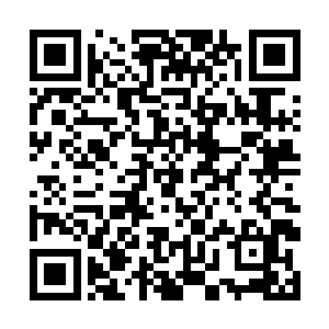 霍君白见那巨大的火焰仙鹤一振翅膀便带起一股炎流二维码生成