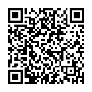 霍君白让虞柔问清了它们林中所有的昆虫几乎都已经被消灭光了二维码生成