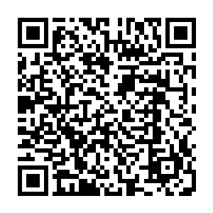 霍君白身体直接受创部分的衣衫连同贴身穿着的玄金衣的一部分立刻化为齑粉二维码生成