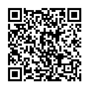 霍君白身旁的一个四十来岁武师模样的汉子脱口叫出二维码生成