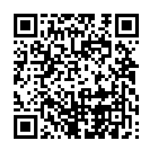 霍尔阴沉着脸回到了神恩学院的参赛者们的聚集区二维码生成