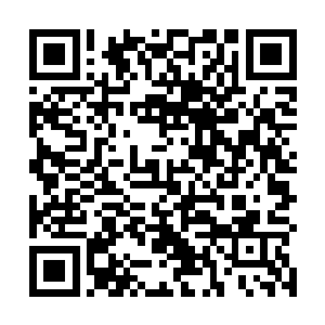 霍普按照规则询问严默要不要住进大赛安排的统一住所二维码生成