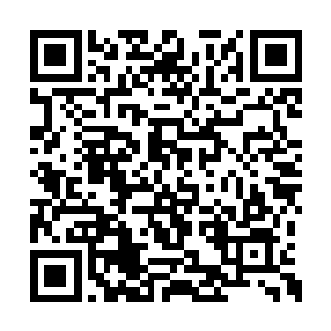 霍普纳茨先生不用问就知道接下来要发生什么了二维码生成