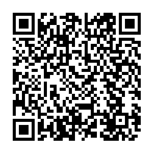 霍普纳茨先生还是那个一直只喜欢艺术品看起来对做生意毫无兴趣的老好人二维码生成