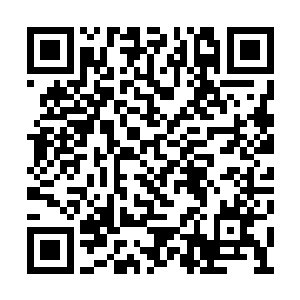 霍淼淼那副要伤害孟南就先得打倒她的执着表情二维码生成