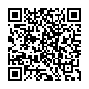 霎时就组成了一副缩小版的迷迷蒙蒙的高山云雾的山水画二维码生成