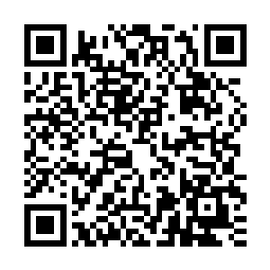 霎时间各种帝尊秘术和秘宝的威能在这狭小的甬道之中跌宕悠忽二维码生成