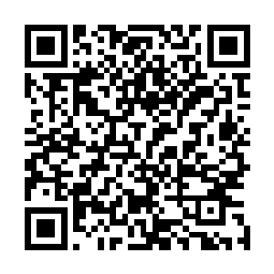 露出一个略带好奇又带着些单纯还有杀伐决断的坐立的雕像二维码生成