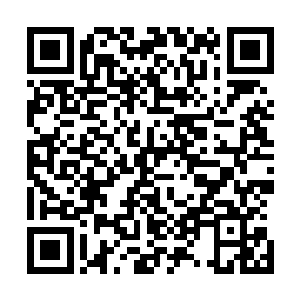 露出一支从笔尖到笔杆通体都散发着淡淡银光的银白色毛笔二维码生成