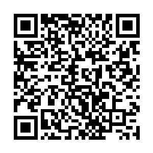 露出了还想再把其内另外两只火焰灵鸟也吞吃的模样二维码生成