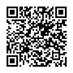 露出了那崩碎皮肤下的另外一张面孔――那张面孔二维码生成