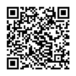 露出了魔族男爵一脸不可思议的面容――怎么回事二维码生成