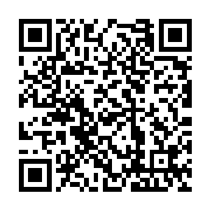 露出他今日特意穿的红色四角裤和白花花的大胖腿二维码生成