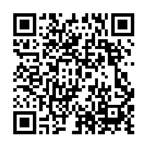 露出后面四五名修仙者同时朝疯狗倾泻最凶猛的火力二维码生成