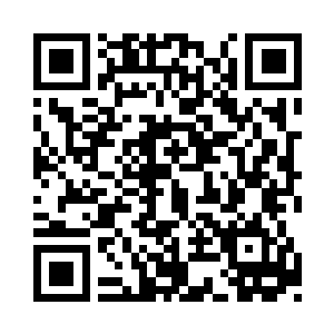 露出空地中央那个被无数枝条包裹住的大土球二维码生成