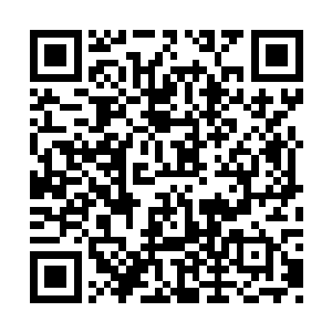 露西亚用她身上的力量促进了那些毛细血管愈合二维码生成