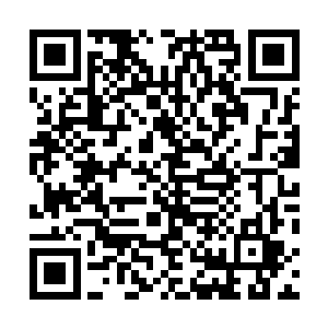 露露姐我们可以举报那实习老师准备在公开课作弊的事情二维码生成