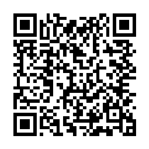 露露--那个自己随手救下的大森林幼儿园的孩子二维码生成