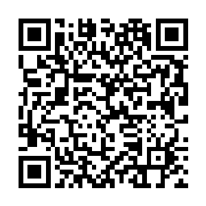 霸天虎这样实力强劲的至尊灵兽都是迎头撞击了上去二维码生成