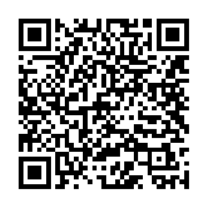 霸王龙的尸体被盘古族狠狠砸在他刚刚站立的地方二维码生成