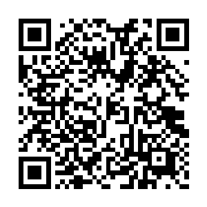 霹雳小组的装备和普通的野战士兵有很大的不同二维码生成
