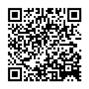 青云和其他几个人被平原部落的人安全的护送回了部落二维码生成